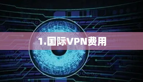 1.国际VPN费用