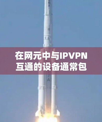 在网元中与IPVPN互通的设备通常包括以下几类 在网元中与IPVPN互通的设备通常包括以下几类