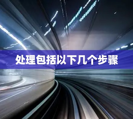 处理包括以下几个步骤