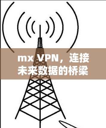 mx VPN，连接未来数据的桥梁