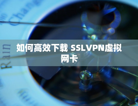 如何高效下载 SSLVPN虚拟网卡 如何高效下载 SSLVPN虚拟网卡