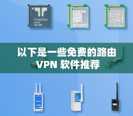 以下是一些免费的路由 VPN 软件推荐