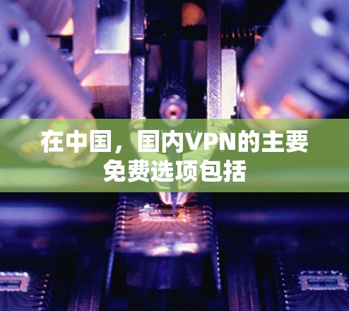 在中国，国内VPN的主要免费选项包括