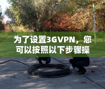 为了设置3GVPN，您可以按照以下步骤操作