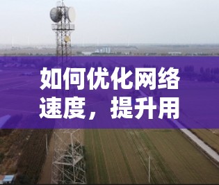 如何优化网络速度，提升用户体验—猴子外网加速器使用指南