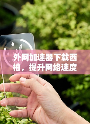 外网加速器下载西柚，提升网络速度的高效选择