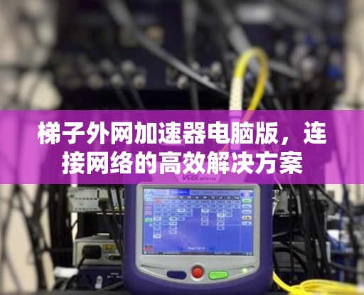 梯子外网加速器电脑版，连接网络的高效解决方案