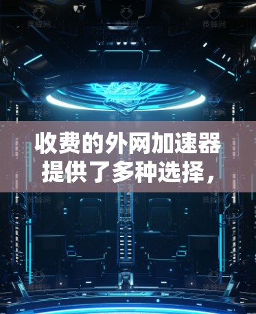 收费的外网加速器提供了多种选择，根据用户的实际需求和预算进行选择。以下是几个主要的收费选项及其特点