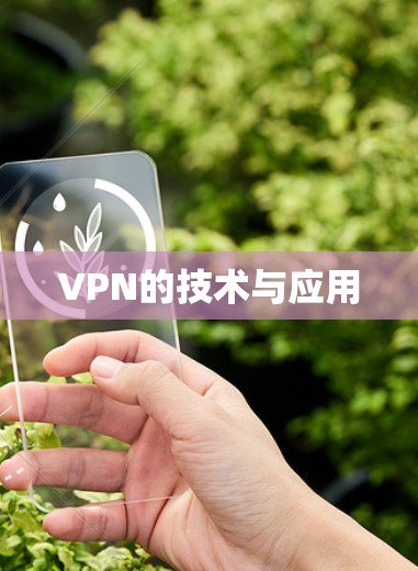 VPN的技术与应用