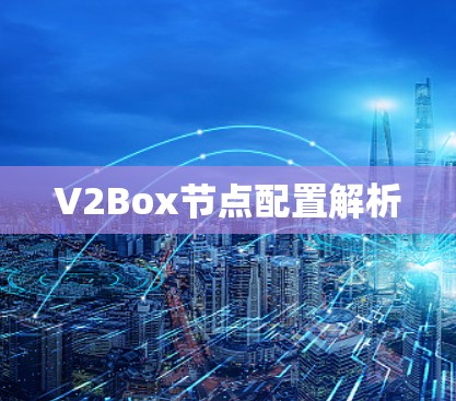 V2Box节点配置解析