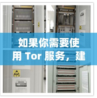 如果你需要使用 Tor 服务，建议你使用苹果提供的 Tor 官方应用，如 Tor Headphones，这些应用是安全且易于使用的。如果你有其他问题，请提供更多信息，我将尽力帮助你