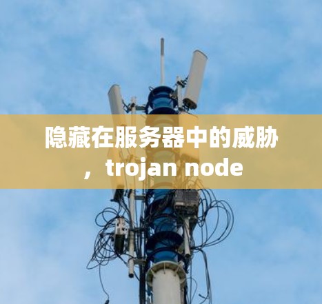 隐藏在服务器中的威胁，trojan node