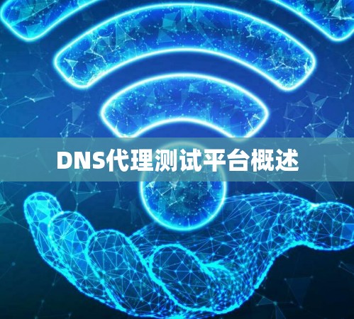DNS代理测试平台概述