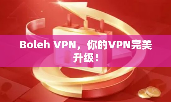 Boleh VPN，你的VPN完美升级！