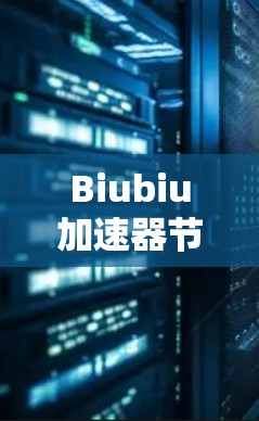 Biubiu加速器节点测速，技术解析与未来展望