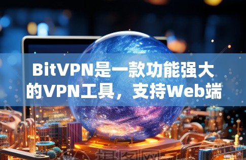 BitVPN是一款功能强大的VPN工具，支持Web端和手机端，旨在提供安全、可靠和便捷的VPN服务。以下是关于BitVPN的详细功能评测