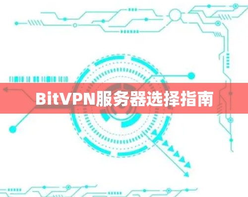BitVPN服务器选择指南