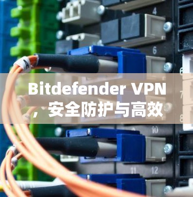 Bitdefender VPN，安全防护与高效访问的完美结合