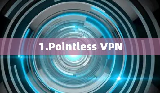 1.Pointless VPN