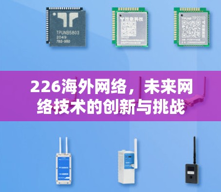 226海外网络，未来网络技术的创新与挑战