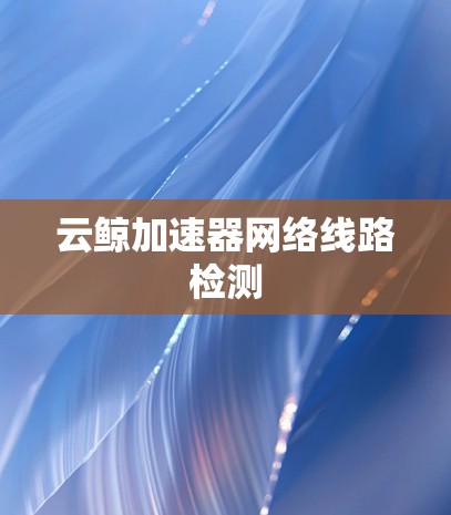 云鲸加速器网络线路检测