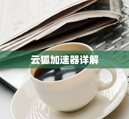 云狐加速器详解