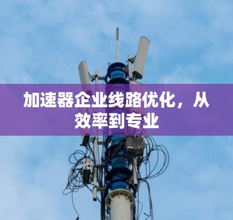 加速器企业线路优化，从效率到专业